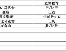 英超：曼彻斯特联对阵纽卡斯尔联