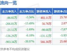 股票行情快报：皇马科技（603181）7月29日主力资金净卖出86.82万元