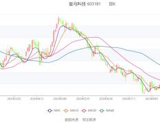 皇马科技：2024年上半年净利润1.91亿元 同比增长26.98%