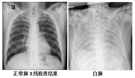 早读 | 2023我国“新三样”出口首破万亿元大关；国足今迎亚洲杯首战