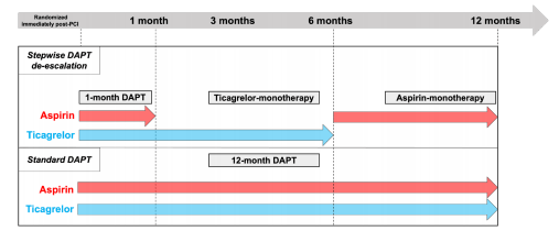 EuroPCR 2024｜陶凌教授：REC-CAGEFREE Ⅱ试验结果——DCB术后，患者可采用逐步降级的双重抗血小板疗法