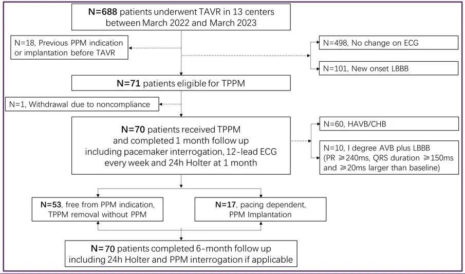 EuroPCR 2024｜宋光远教授：TAVI术后传导阻滞患者应用过渡起搏器可减少不必要永久起搏器植入